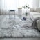 Generic Super Soft Area Rug, Fluffy Plush Rug High Pile Furry Carpet Not-Slip Back Pad For Living Room Bedroom Kids Play Floor Rug-Light Grey 160X200cm(63X79Inch)