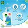 Dettol Cool Liquid Handwash Pump, Mint &amp; Bergamot Scent, 400ml
