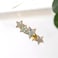 Aiwanto Hair Pin Hair Clips Beautiful Star Hair Clips Hair Accessories For Girls Kids (2Pcs)
