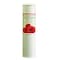 Enchanteur Enticing Perfumed Talc White 250g