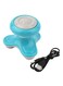 Generic Mini Electric Massager