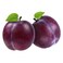 Plum Angolina Per KG