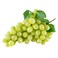 GRAPES WHITE KG
