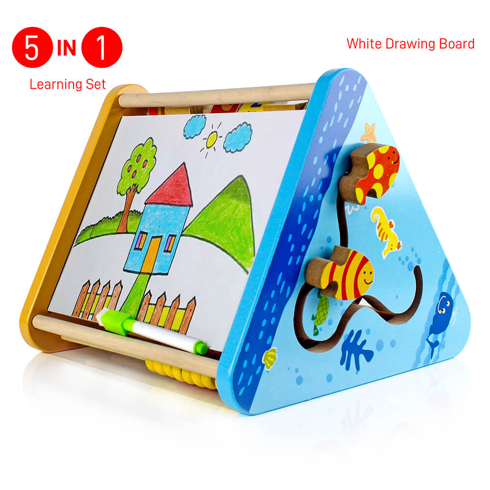 5 Sides Learn Shelf Educational Toy