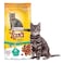 Lara Indoor Anti Hairball Adult Cat Food 2kg