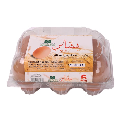 بشاير بيص أحمر - 6 قطع