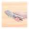 Ingco Straight Jaw Pliers -10 inch