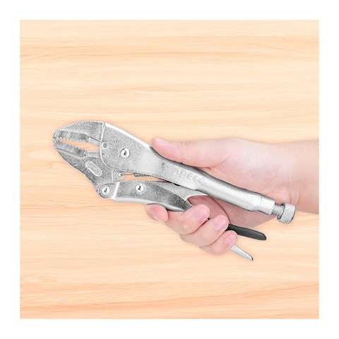 Ingco Straight Jaw Pliers -10 inch