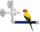 Mumoo Bear Pet Parrot Bath Perches Standing Platform Rack Suction Cup Window Shower Bird Bath Toys