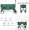 Egardenkart Heavy-duty Wagon Trolley Cart - Foldable Trolley for Shopping, Camping, Beach, Picnic   Shopping Trolley with Adjustable Handle and 360&deg; Wheels   Multipurpose Camping trolley (Green)