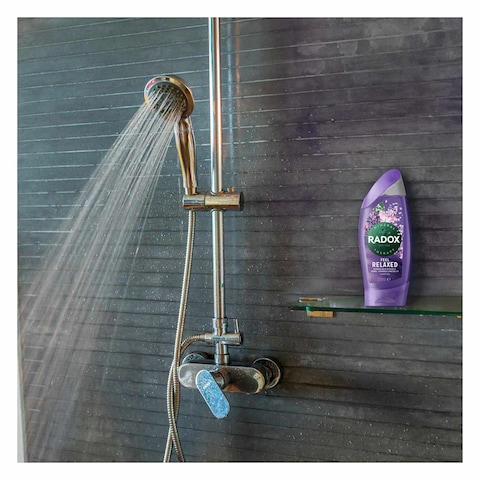 Radox Feel Relaxed Waterlily And Lavender Shower Gel 250ml