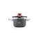 Life Smile Pressure Cooker 8 Litre Stainless Steel / Granite Coating / Effortless Locking System
