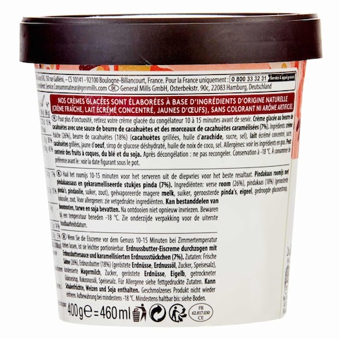 Haagen-Dazs Peanut Butter Crunch Ice Cream 460ml