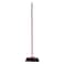 Parex Indoor Broom With Handle - Purple