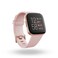 Fitbit Smartwatch Versal 2 NFC Aluminium Petal Copper Rose