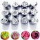 Generic 12-Piece Russian Tulip Cake Decorating Icing Piping Nozzles