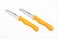 Stainless Steel 2Pc Fruit Knife Set, Yellow Colour, BG39900YE