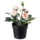 Fejka - Artificial Potted Plant, In/Outdoor, Rose Pink, 9 Cm