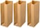 Party Time 24-Pieces Brown Kraft Paper Bags Breakfast Square Bottom Paper Bags Candy Food Paper Bags Baking Dessert Party Paper Bags (21x12x8cm)