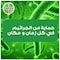 ديتول مناديل مبللة ضد البكتريا - 10 منديل