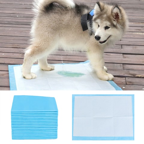 Buy Decdeal - Dog Pet Training Pee Pads Super Absorbent Disposable Healthy Puppy Pads for Dog Cats 50PCS in UAE