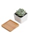 Generic 6 Pcs Geometric Succulent Planter, Set Of 6 White Ceramic Succulent Cactus Square Planter Pots With Bamboo Tray(Plants Not Included)