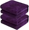 2-Pc Microfiber Bath Sheet Purple 80x160cm Soft Microfiber Beach Towel Super Absorbent, Fast Drying and Durable Microfiber Bath Towel