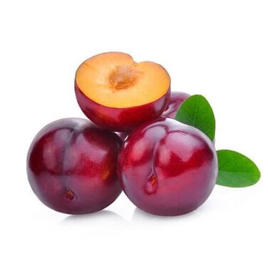 Premium quality Plum