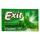 Exit Spearmint Sugarfree With Xylitol Chewing Gum 11GR