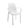 Pandaplast Rattan Chair Plastic With Arms Assorted