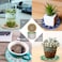 Aiwanto 6Pcs Absorbent Coffee Mug Place Mats Ceramic Coasters with Cork Base Placemats Decoration for Dinning Table Home(Assorted)
