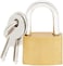 ABBASALI 12pack Mini Padlocks Luggage Locks - cupreous
