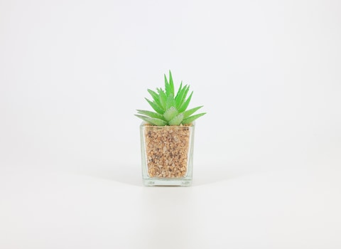 Artificial succulent bonsai -Model 02