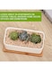 Generic 2 Pcs White Ceramic Rectangle Planter With Bamboo Tray, Planters For Succulents, Indoor Home Decor, 2 Rectangle Cactus Pot Set