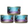 Tiki Cat Aloha Friends Wet Cat Food Tuna, Calamari &amp; Pumpkin - Pack of 3