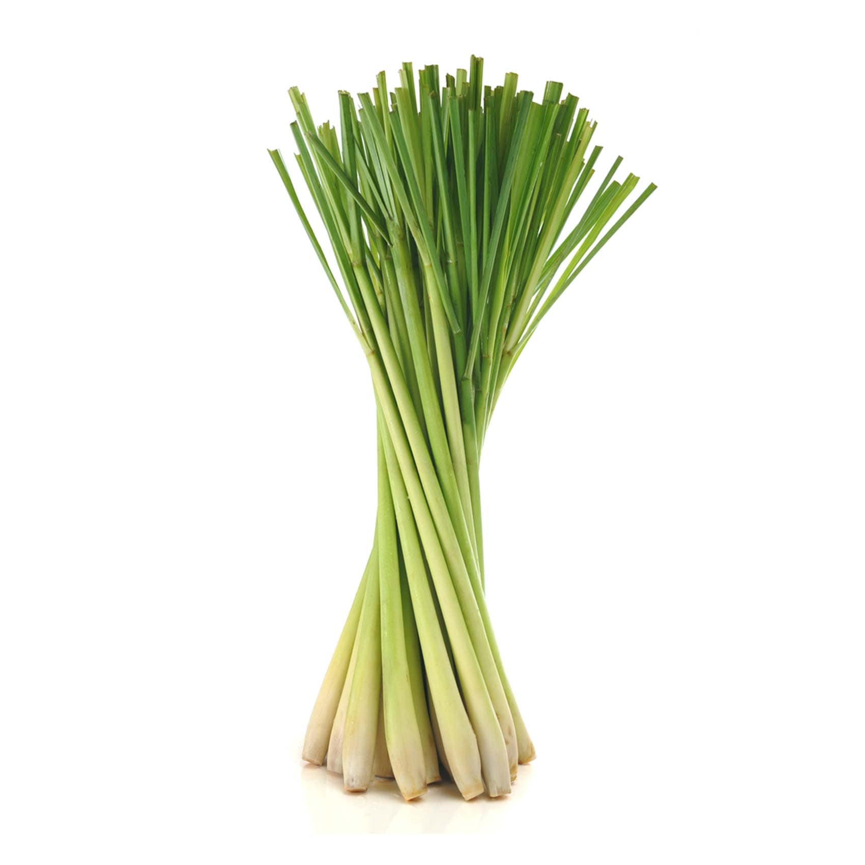 Lemon Grass