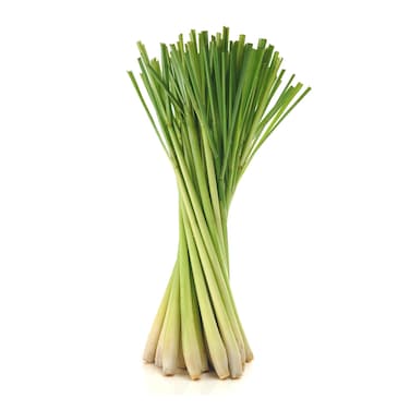 Lemon Grass