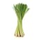 Lemon Grass