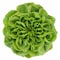 Farm Fresh Mix Leaves Crispy Salanova 150G