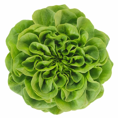 Farm Fresh Mix Leaves Crispy Salanova 150G