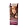 Palette Intensive Hair Color 7-560 Burnt Bronze Brown 50ML