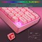 HXSJ Wired Gaming Keyboard RGB Streamer Wired Keyboard 61-key Gaming Keyboard for Game/Office (V700 Pink)