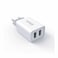 Iconz XWC02 Bazix Dual USB Wall Charger - White