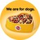 PEDIGREE&reg; Chicken &amp; Vegetables Dry Dog Food Adult 10kg