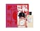 Hermes Twilly D Hermes For Women Eau De Parfum 85ML Set