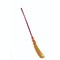 Witch Broom