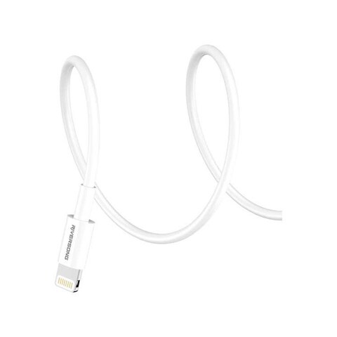 Riversong CL79 USB Type-C to Lightning Cable 1 Meter - Grey