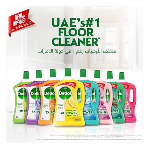 Dettol 3x Power Antibacterial Floor Cleaner Green Apple 3L