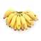 Banana Rasakathali India
