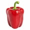 Capsicum Red